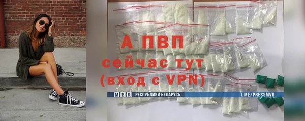 гашик Покров