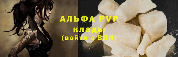 прущие грибы Покачи
