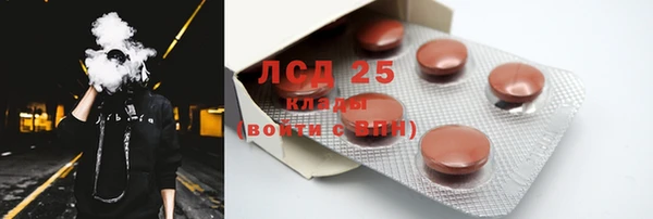 прущие грибы Покачи