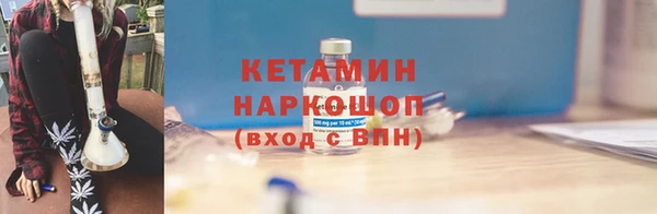 прущие грибы Покачи